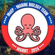 Deniz Biyolojisi Takımı (MARBIT)